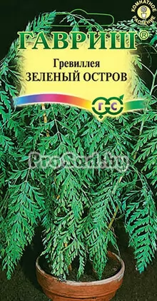 Гревиллея Зелёный остров
