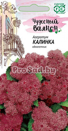Агератум Калинка