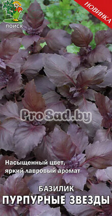 Базилик овощной Пурпурные звёзды