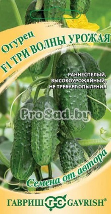 Огурец F1 Три волны урожая