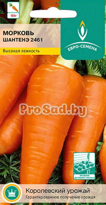Морковь Шантенэ 2461
