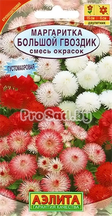 Маргаритка Большой гвоздик, смесь