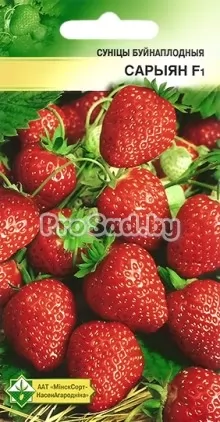Земляника крупноплодная (Клубника) F1 Сариан