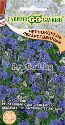 Чернокорень лекарственный