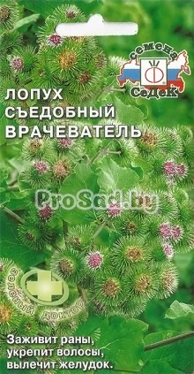 Лопух съедобный Врачеватель