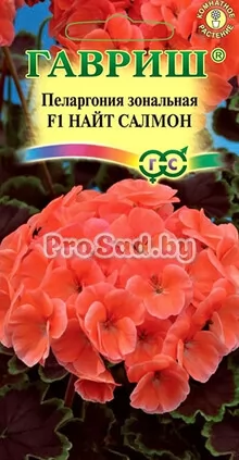 Пеларгония зональная F1 Найт салмон