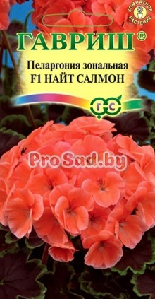 Пеларгония зональная F1 Найт салмон