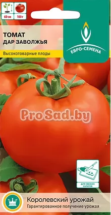 Томат Дар Заволжья
