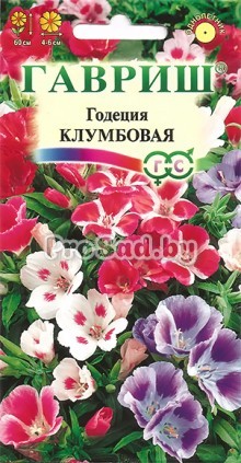 Годеция Клумбовая, смесь
