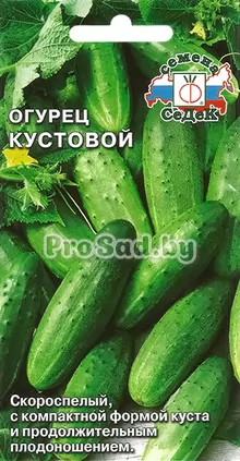 Огурец Кустовой