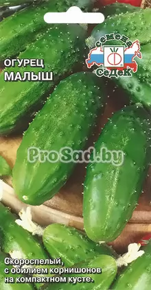 Огурец Малыш