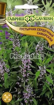 Пустырник сердечный Самарский