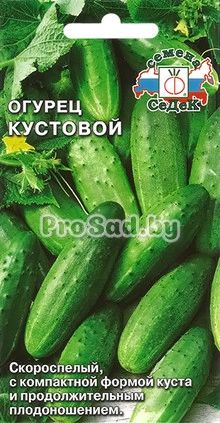 Огурец Кустовой