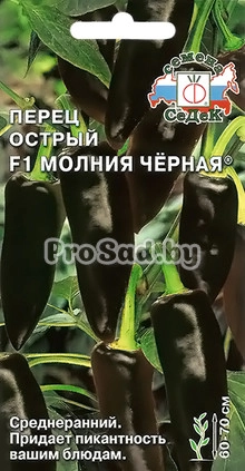 Перец острый F1 Молния чёрная