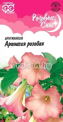 Бругмансия Аромагия розовая