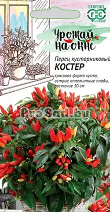 Перец кустарниковый острый Костёр
