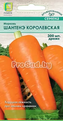Морковь Шантенэ Королевская