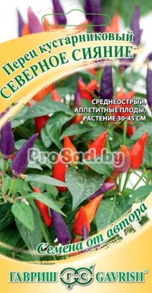 Перец кустарниковый Северное сияние