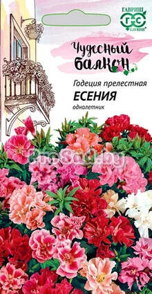Годеция махровая Есения, низкорослая смесь