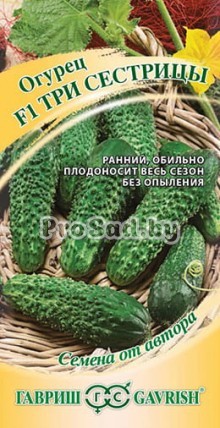 Огурец F1 Три сестрицы