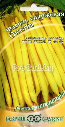 Фасоль спаржевая Октава