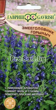 Змееголовник Горыныч