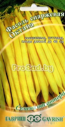 Фасоль спаржевая Октава