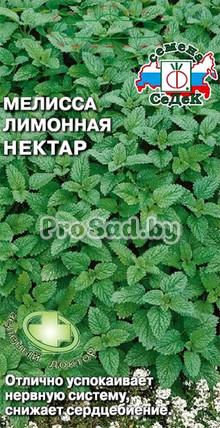 Мелисса лимонная Нектар