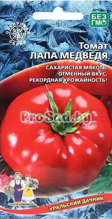 Томат Лапа Медведя