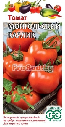 Томат Монгольский карлик