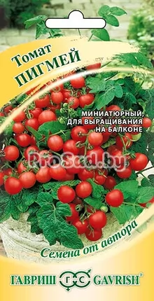 Томат Пигмей