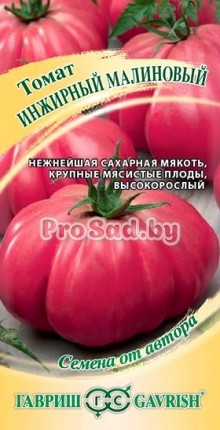 Томат Инжирный Малиновый