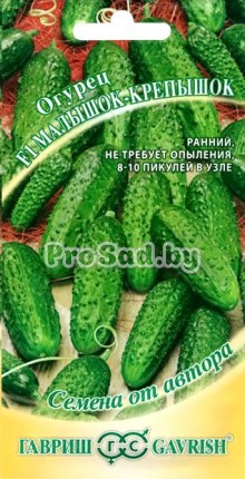 Огурец F1 Малышок-крепышок