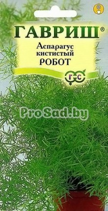 Аспарагус кистистый Робот
