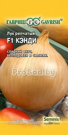 Лук репчатый F1 Кэнди