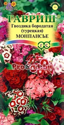 Гвоздика турецкая Монпансье, смесь