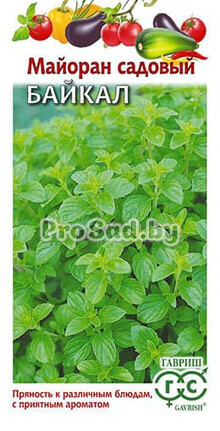 Майоран садовый Байкал