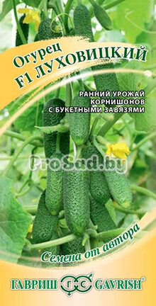Огурец F1 Луховицкий
