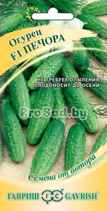 Огурец F1 Печора