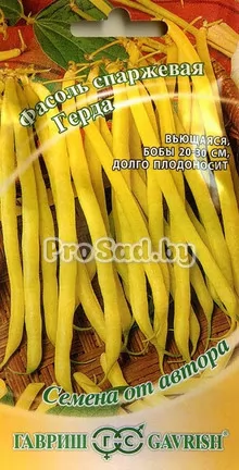 Фасоль спаржевая Герда