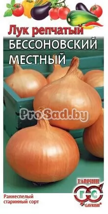 Лук репчатый Бессоновский местный