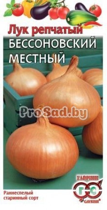 Лук репчатый Бессоновский местный