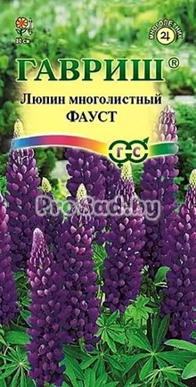 Люпин многолистный Фауст