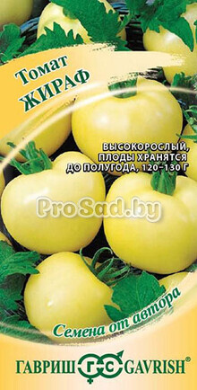 Томат Жираф