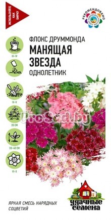 Флокс друммонда Манящая звезда, смесь