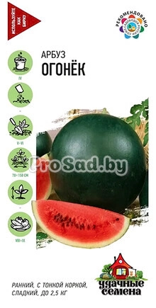 Арбуз Огонёк