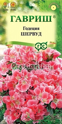 Годеция махровая Шервуд