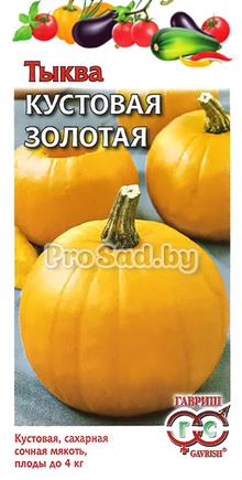 Тыква Кустовая золотая
