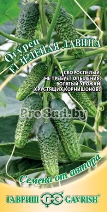 Огурец-корнишон F1 Зелёная лавина