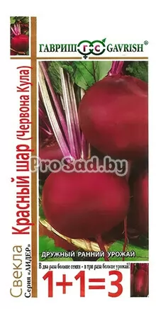 Свекла Красный шар (Червона кула)